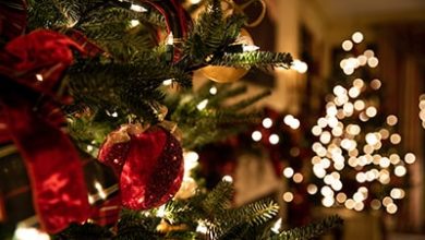 Photo of Fast Facts about Holiday Lighting: What You Need to Know