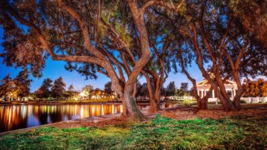 Photo of Why Your Next Home Should Be in Paseo Del Sol